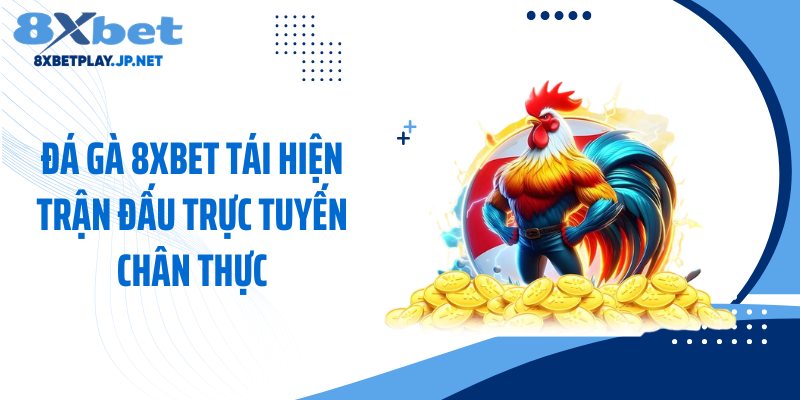 Đá gà 8XBET tái hiện trận đấu trực tuyến chân thực